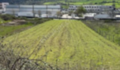 TOKİ’den dev fırsat: Samsun'da dikkat çeken arsa satışı