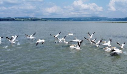 Ladik’te Doğa ve Kış Turizmi Rehberi