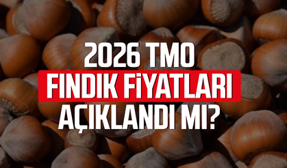 2026 TMO fındık fiyatları açıklandı mı? Son durum