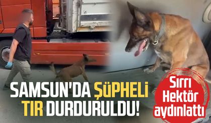 Samsun'da şüpheli tır durduruldu! Sırrı Hektör aydınlattı
