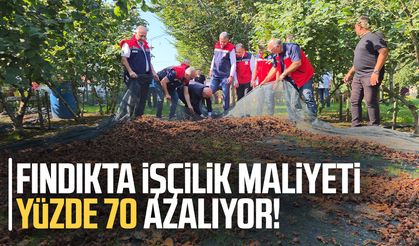 Fındıkta işçilik maliyeti yüzde 70 azalıyor!