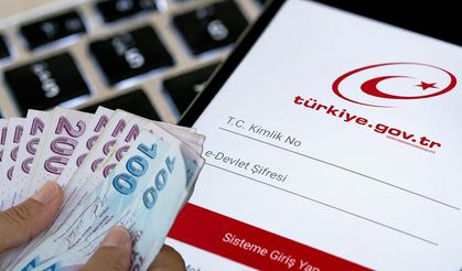 Parasını bekleyenler dikkat! Bu haberi okuyan e-Devlet'e akın ediyor
