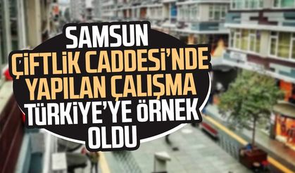 Samsun Çiftlik Caddesi projesi ulusal ödül getirdi