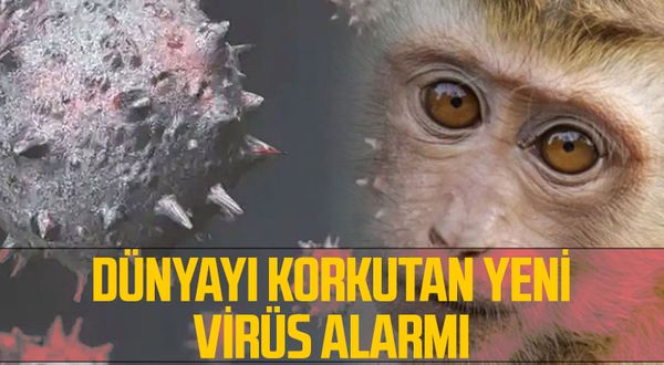 Dünyayı Korkutan Yeni Virüs Alarmı