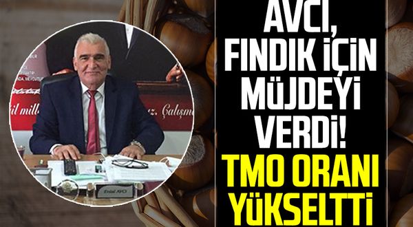 Ayvacık Ziraat Odası Başkanı Erdal Avcı, fındık için müjdeyi verdi! TMO oranı yükseltti