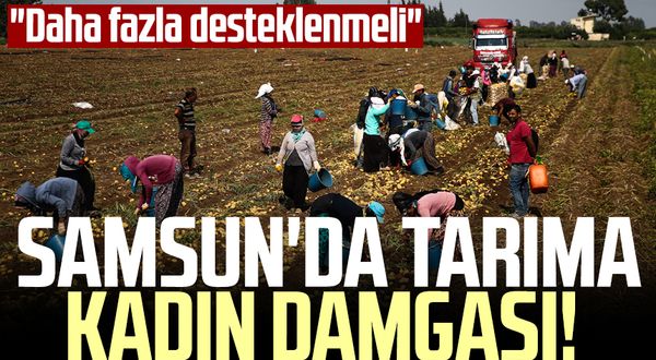 Samsun'da tarıma kadın damgası! "Daha fazla desteklenmeli"