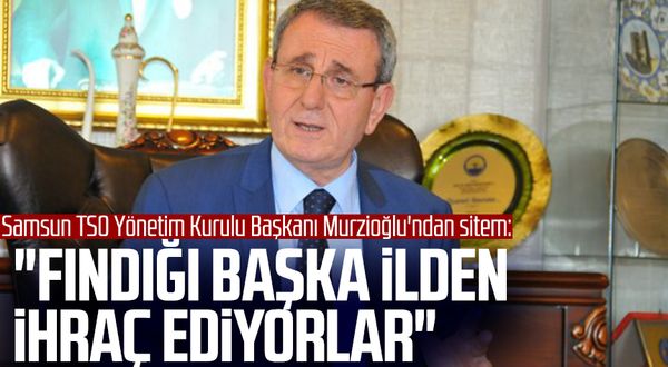 Samsun TSO Yönetim Kurulu Başkanı Salih Zeki Murzioğlu'ndan sitem: "Fındığı başka ilden ihraç ediyorlar"