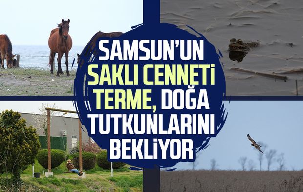 Samsun’un saklı cenneti Terme, doğa tutkunlarını bekliyor