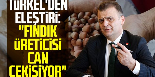CHP Samsun İl Başkanı Fatih Türkel'den eleştiri: "Fındık üreticisi can çekişiyor"