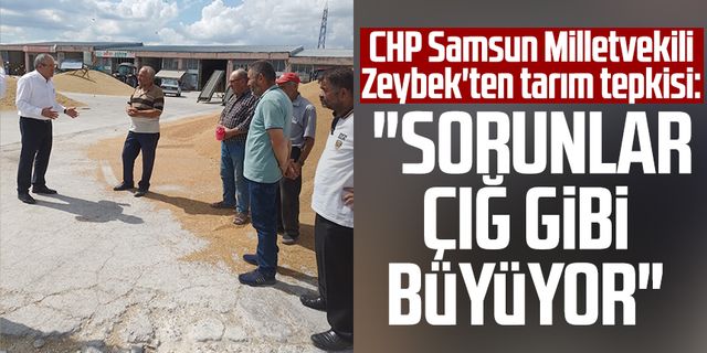 Samsun haber | CHP Samsun Milletvekili Kemal Zeybek'ten tarım tepkisi: "Sorunlar çığ gibi büyüyor"