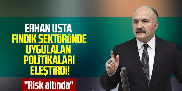 Samsun Milletvekili Erhan Usta fındık sektöründe uygulanan politikaları eleştirdi: " Risk altında"