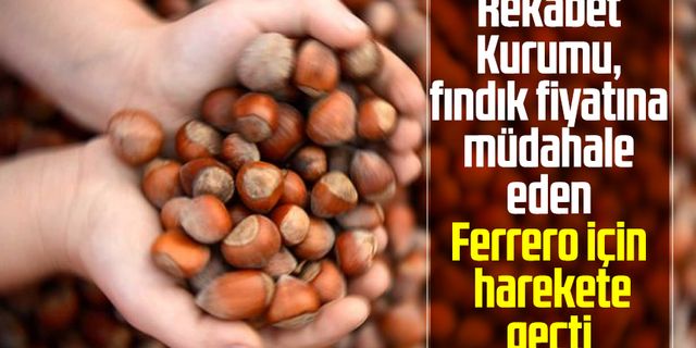 Rekabet Kurumu, fındık fiyatına müdahale eden Ferrero için harekete geçti