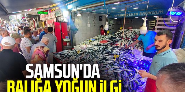 Samsun'da balığa yoğun ilgi