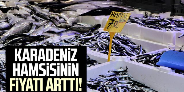 Karadeniz hamsisinin fiyatı arttı!