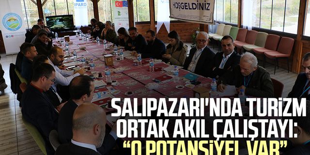 Samsun'un Salıpazarı ilçesinde Turizm Ortak Akıl Çalıştayı: "İlçede o potansiyel var"