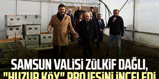 Samsun Valisi Zülkif Dağlı, "Huzur Köy" projesini inceledi