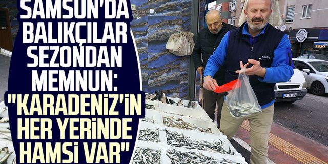 Samsun'da balıkçılar sezondan memnun: "Karadeniz'in her yerinde hamsi var"