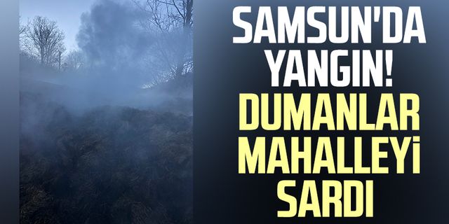 Samsun'da yangın! Dumanlar mahalleyi sardı