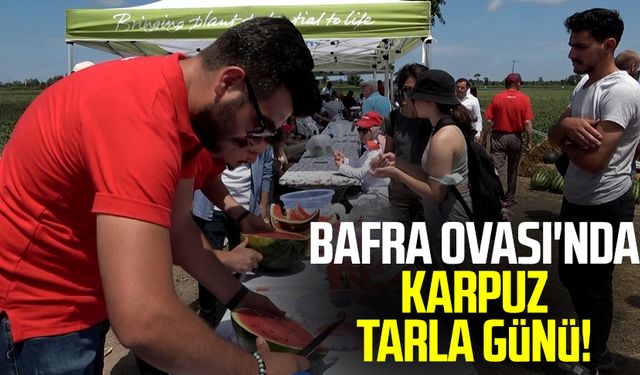 Bafra Ovası'nda karpuz tarla günü!