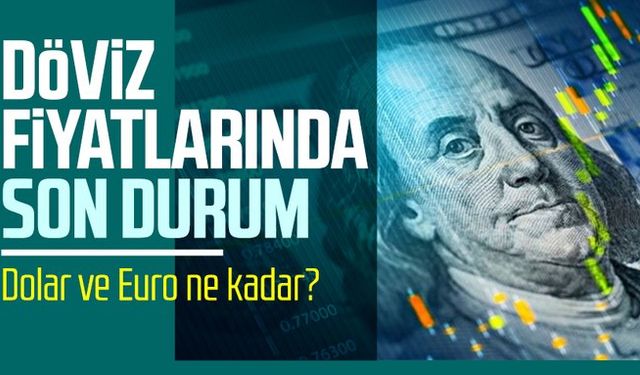 Dolar ne kadar oldu? 3 Kasım Pazar döviz fiyatlarında son durum