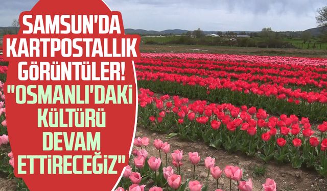 Samsun'da kartpostallık görüntüler! "Osmanlı'daki kültürü devam ettireceğiz"