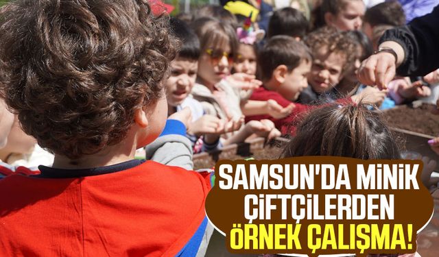 Samsun'da minik çiftçilerden örnek çalışma!