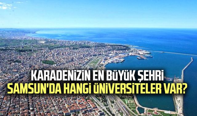 Karadenizin en büyük şehri Samsun'da hangi üniversiteler var?