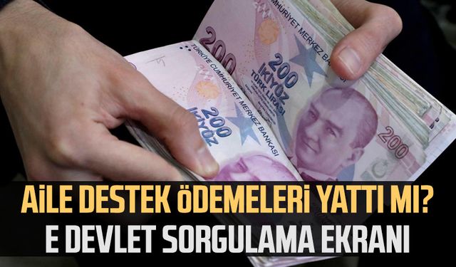 Aile destek ödemeleri yattı mı? E devlet sorgulama ekranı