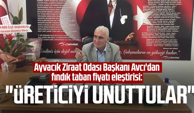 Ayvacık Ziraat Odası Başkanı Erdal Avcı'dan fındık taban fiyatı eleştirisi: "Üreticiyi unuttular"