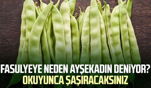 Fasulyeye neden Ayşekadın deniyor? Ayşekadın fasulye ismi nereden geliyor? Çok şaşırtan hikaye