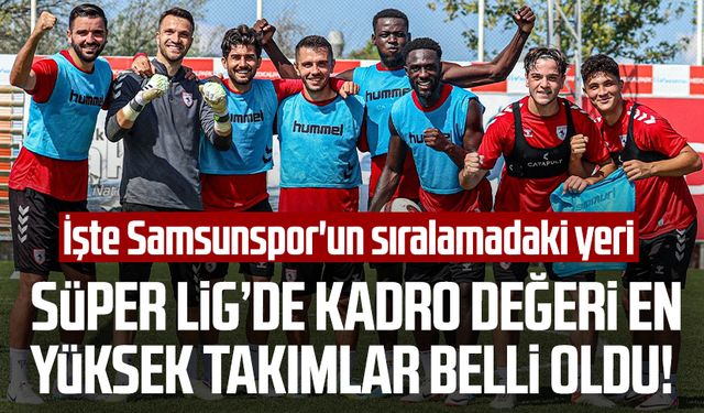 Süper Lig’de kadro değeri en yüksek takımlar belli oldu! İşte Samsunspor'un sıralamadaki yeri
