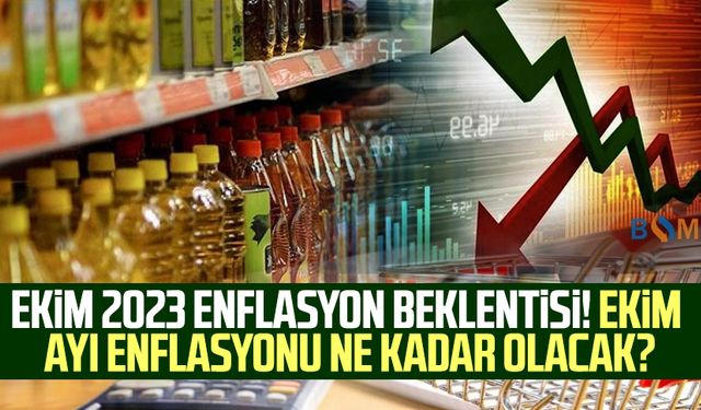 Ekim 2023 enflasyon beklentisi! Ekim ayı enflasyonu ne kadar olacak?