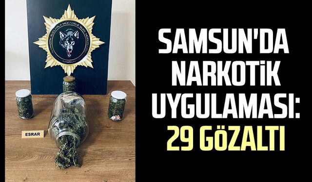 Samsun'da narkotik uygulaması: 29 gözaltı