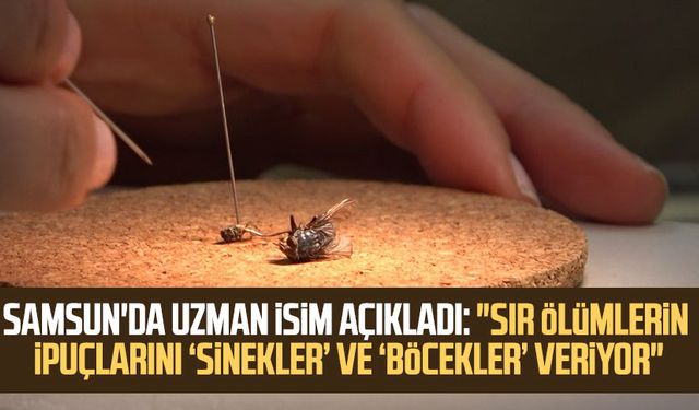 Samsun'da uzman isim açıkladı: "Sır ölümlerin ipuçlarını ‘sinekler’ ve ‘böcekler’ veriyor"
