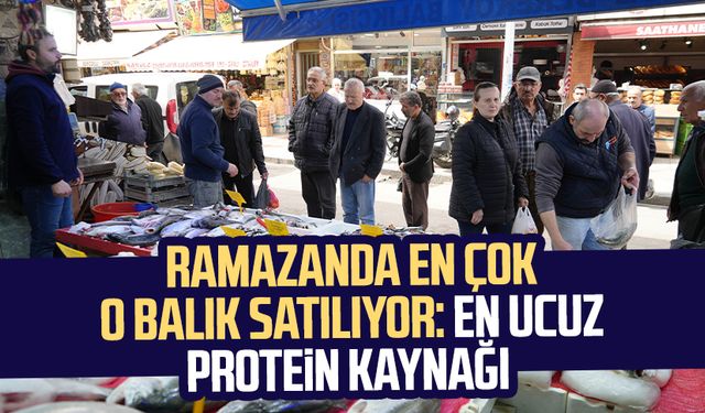 Samsun'da Ramazan'da en çok o balık satılıyor: En ucuz protein kaynağı