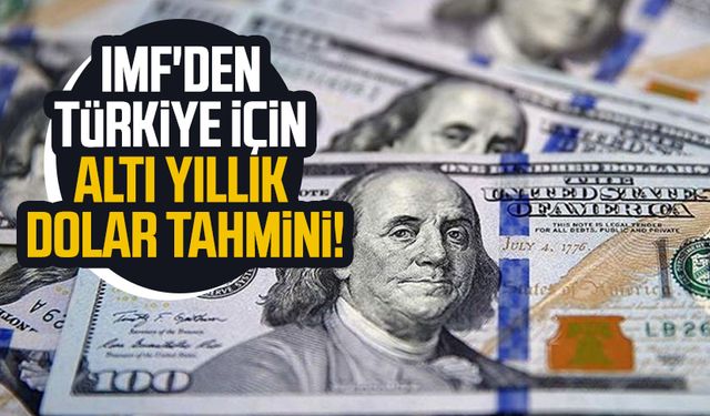 IMF'den Türkiye için altı yıllık dolar tahmini!