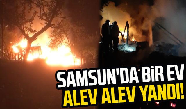 Samsun'da bir ev alev alev yandı!