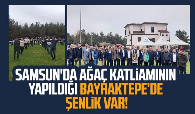 Samsun'da ağaç katliamının yapıldığı Bayraktepe Tabiat Parkı'nda şenlik var!