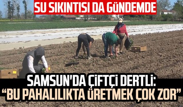 Samsun'da çiftçi dertli: "Bu pahalılıkta üretmek çok zor"