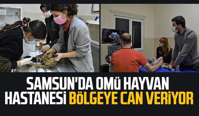 Samsun'da Omü Hayvan Hastanesi bölgeye can veriyor