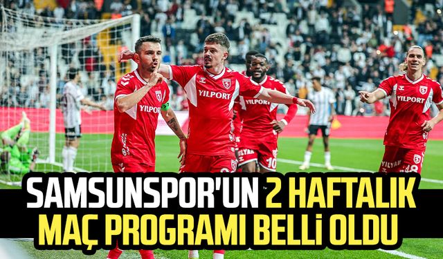 Samsunspor'un 2 haftalık maç programı belli oldu