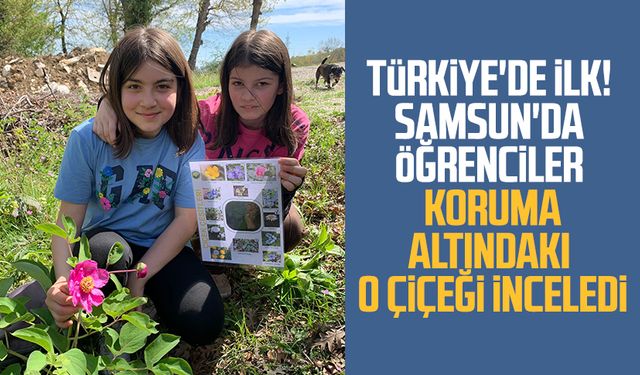 Türkiye'de ilk! Samsun'da öğrenciler koruma altındaki o çiçeği inceledi