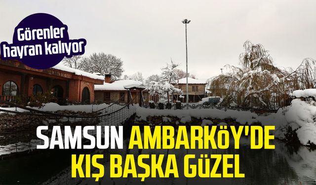 Samsun'da Ambarköy'de kış başka güzel