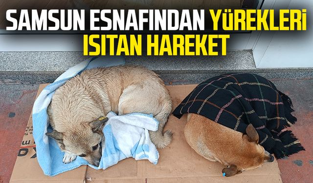 Samsun esnafından yürekleri ısıtan hareket