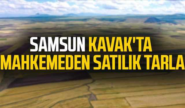 Samsun Kavak'ta mahkemeden satılık tarla