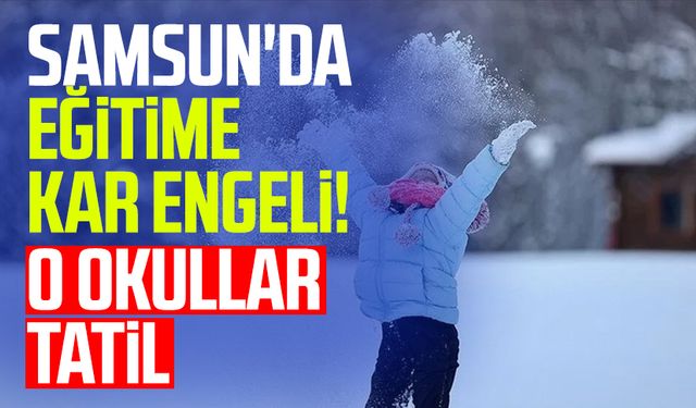 Samsun'da eğitime kar engeli! O okullar tatil