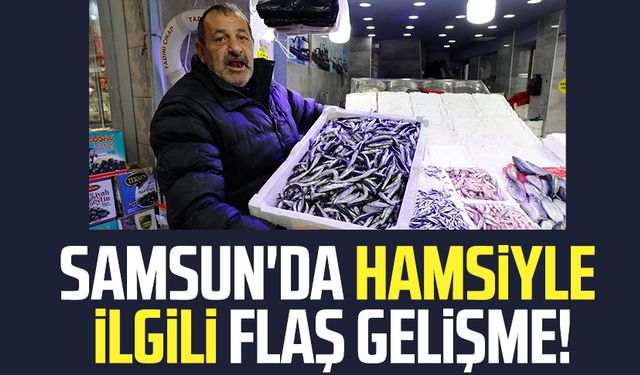 Samsun'da hamsiyle ilgili flaş gelişme! İşte fiyatı