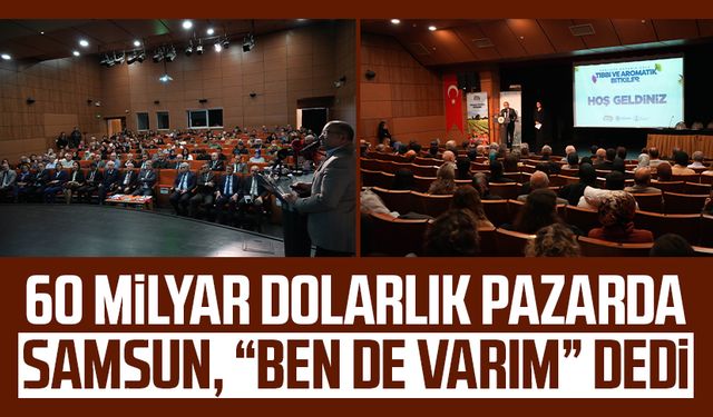 60 milyar dolarlık pazarda Samsun, “Ben de varım” dedi