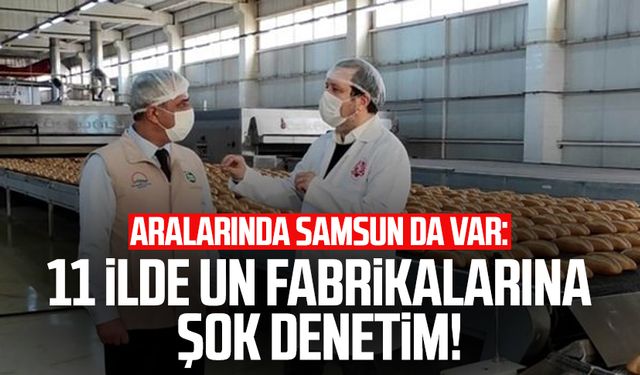 Aralarında Samsun da var: 11 ilde un fabrikalarına şok denetim!