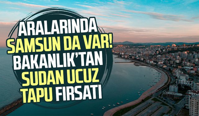 Aralarında Samsun da var! Bakanlık'tan sudan ucuz tapu fırsatı